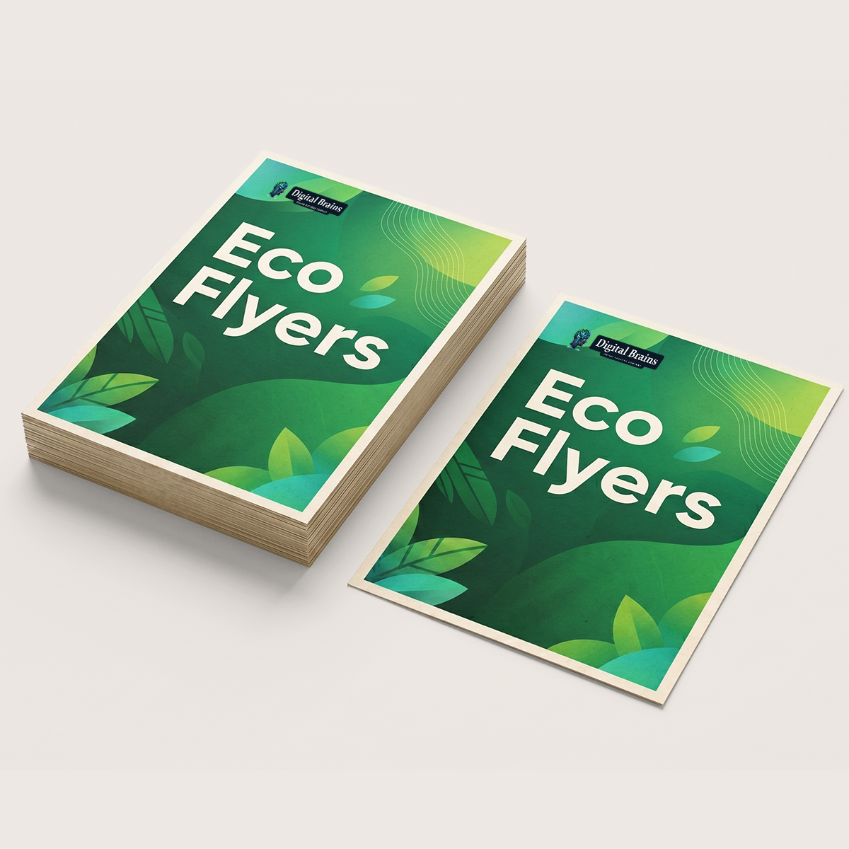 Eco Flyers
